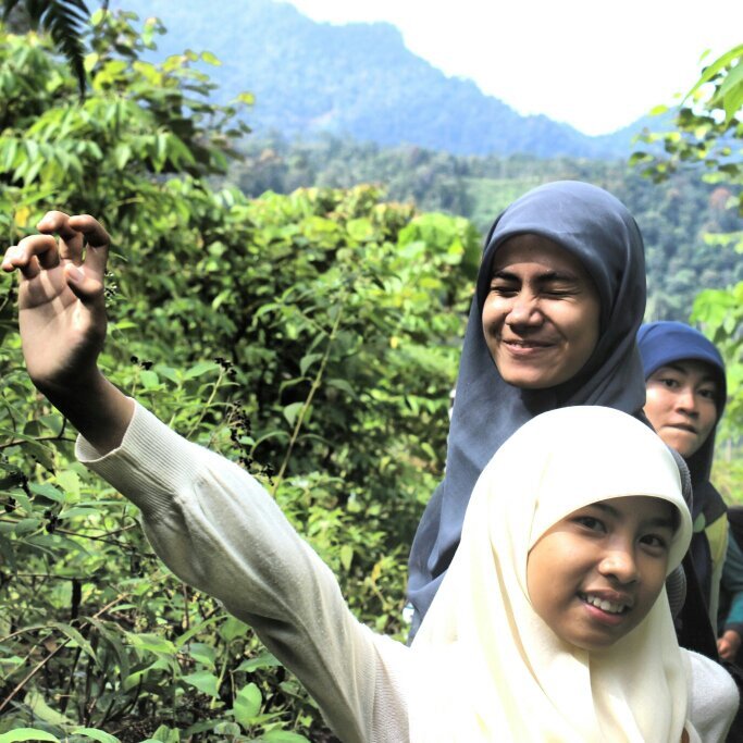 hsarifa's profile picture. Hi!