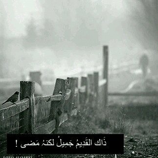 سبحان الله وبحمده سبحان الله العظيم