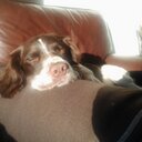 Alan Bunker - @reknub1 - Twitter