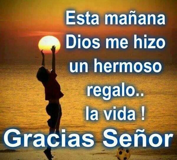 Luzma96's profile picture. Profesora Atencion Educativa no covencional. Msc en Tecnologia Educativa,