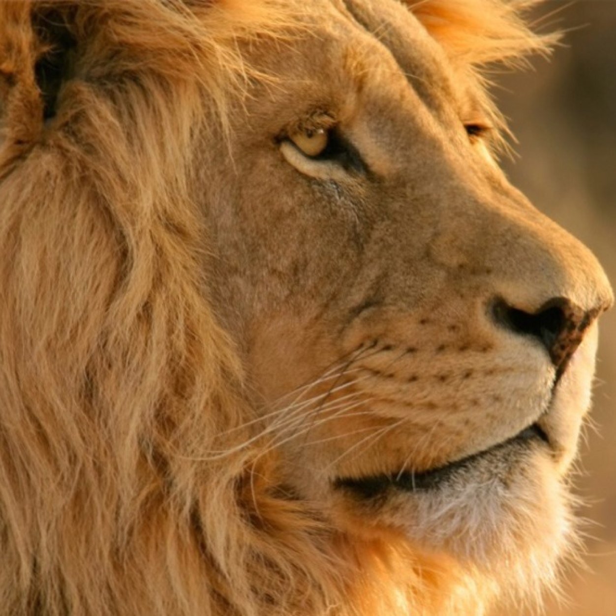 JuaNMa_007's profile picture. Eternamente agradecido 15