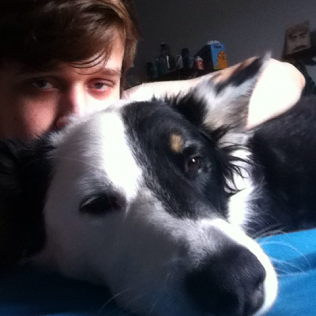 Animals, health food, Warcraft,