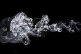 ScelgoMe's profile picture. IO