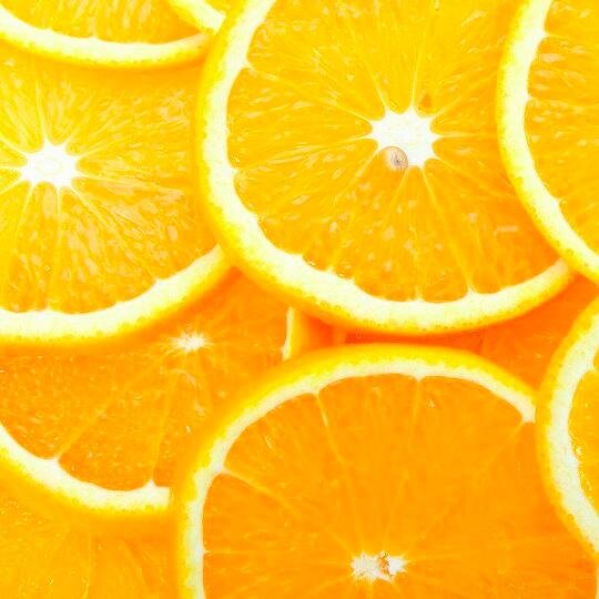 garlicpitabites's profile picture. Political Junkie / Past Model Parliament Participant