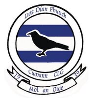 Lisdowney GAA Club (@lisdowneygaa) Twitter profile photo