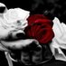 Blackrosegaby (@blackrosegaby) Twitter profile photo
