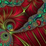 dfjbn1's profile picture. 