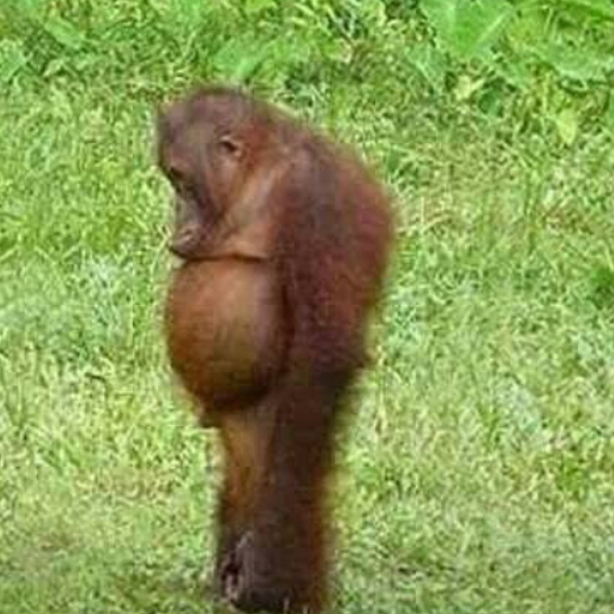 kpower_power's profile picture. Occupational Therapist (no I don’t find people jobs)       sports mom, coach’s wife, class clown.