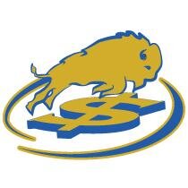 Buffalo First Wealth Management exists to attract and maintain clients by offering the best, value added, and financial healthy solutions to meet their goals.