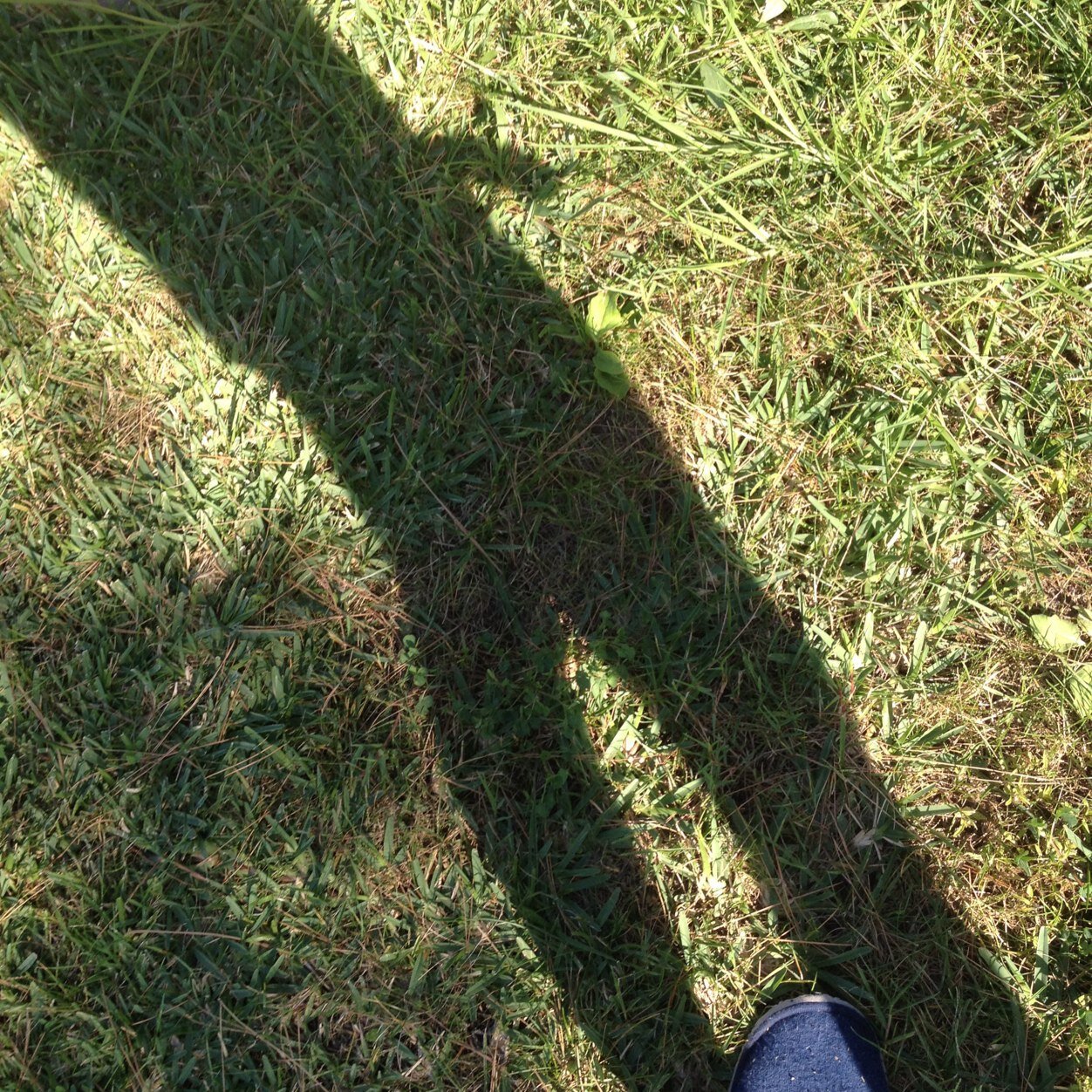 underwarro's profile picture. Busco follar me mola el cruising soy guarrete y morboso Activo!