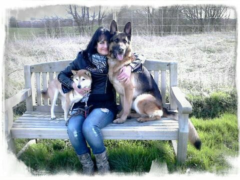 pet portrait animal artist mum kennel maid daydreamer