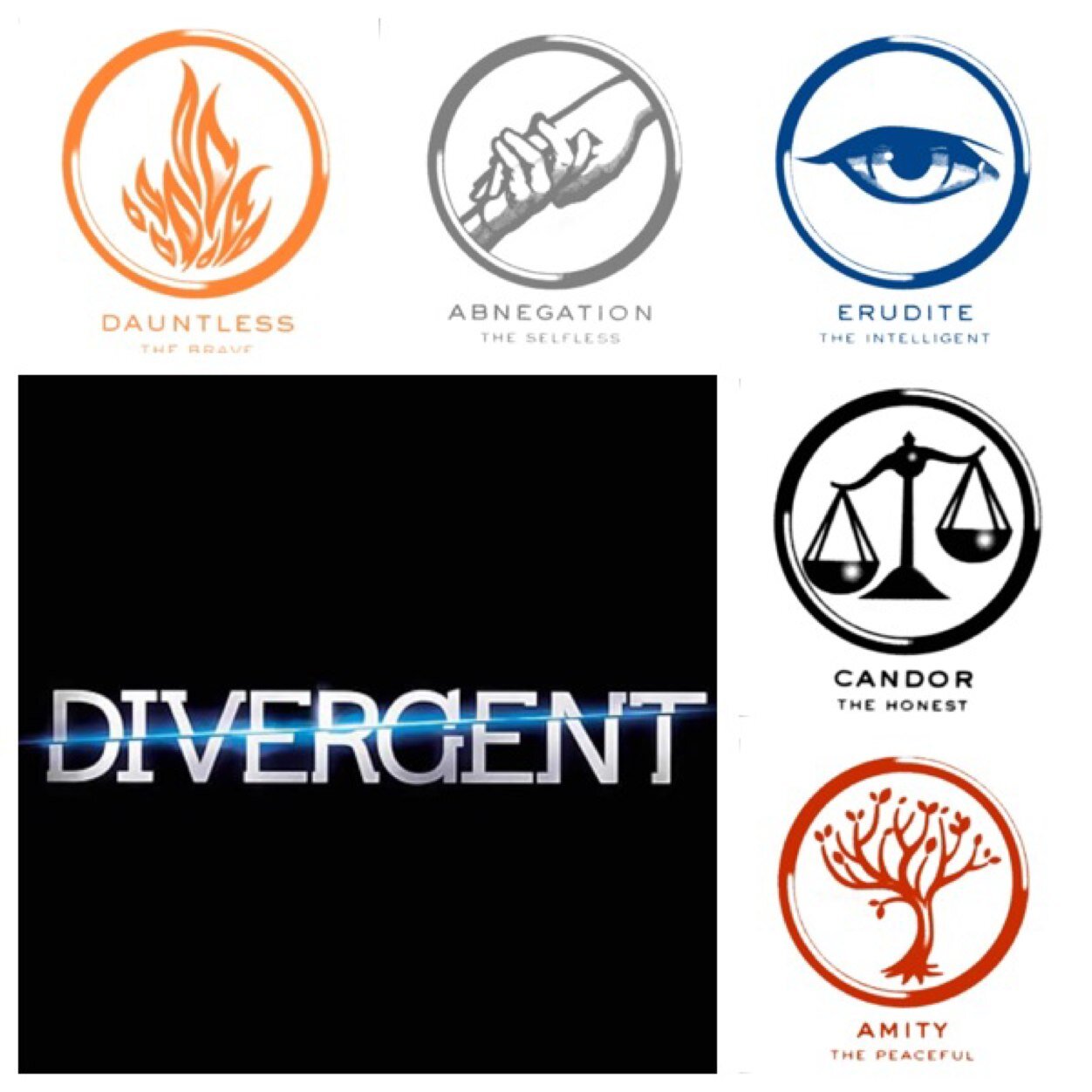 Faction before Blood. The Hunger Games, Divergent, The Maze Runner, TFIOS and more! (Some photos i post are from tumblr not my own)