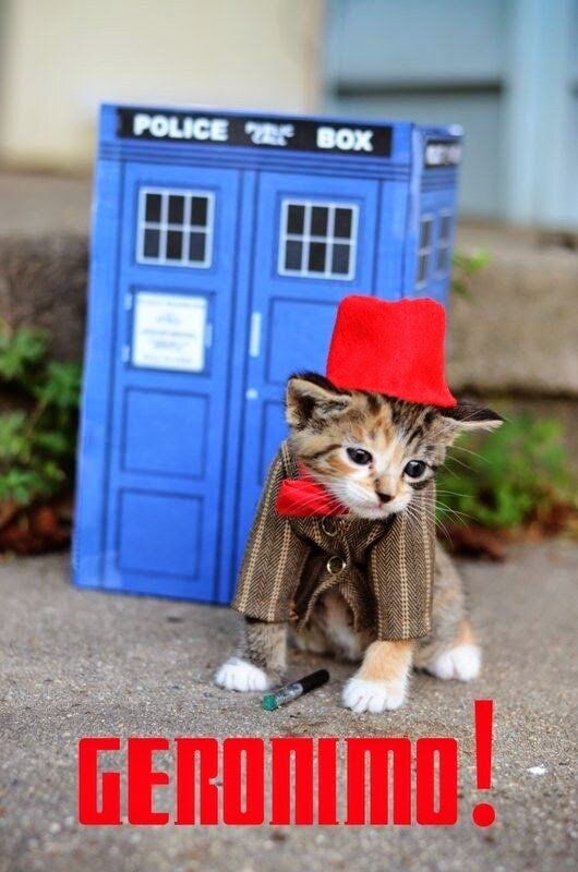 FlammingAmber69's profile picture. Danger curves ahead. Try and will do anything fun new to KC. 1 more yr of psychology to analyze myself.Trekkies rule as do cat lovers but I won't stop you...