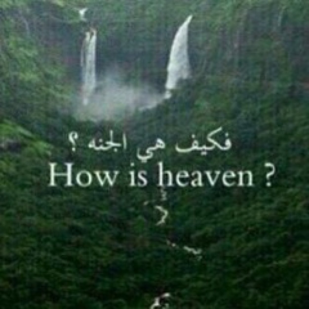 مسعود القحطاني / اللهم ارحمه من ذات يوم اغلق عيناه  ورحل وانتهى كل شيء اللهم اجعل قبره بعد فراق الدنيا اجمل مسكن تغفو به عيناه.