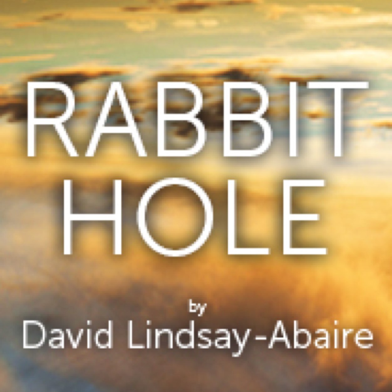 David Lindsay-Abaire's Pulitzer Prize winning play |  #RabbitHole