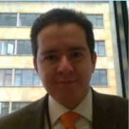 Ingeniero Electrónico, Maestría en Tecnologías de la Información para el Negocio