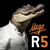 Route5_'s profile picture. Route5 is uitermate geschikt om duidelijk te maken hoe een crisis binnen bedrijven zich gedraagt, zich aanpast en tal van maatregelen overleeft.