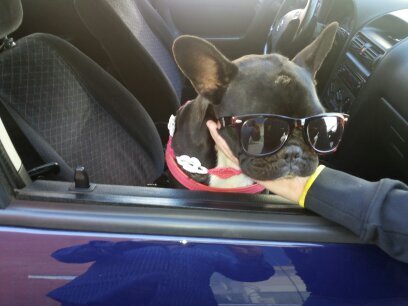 lidia_g_'s profile picture. 