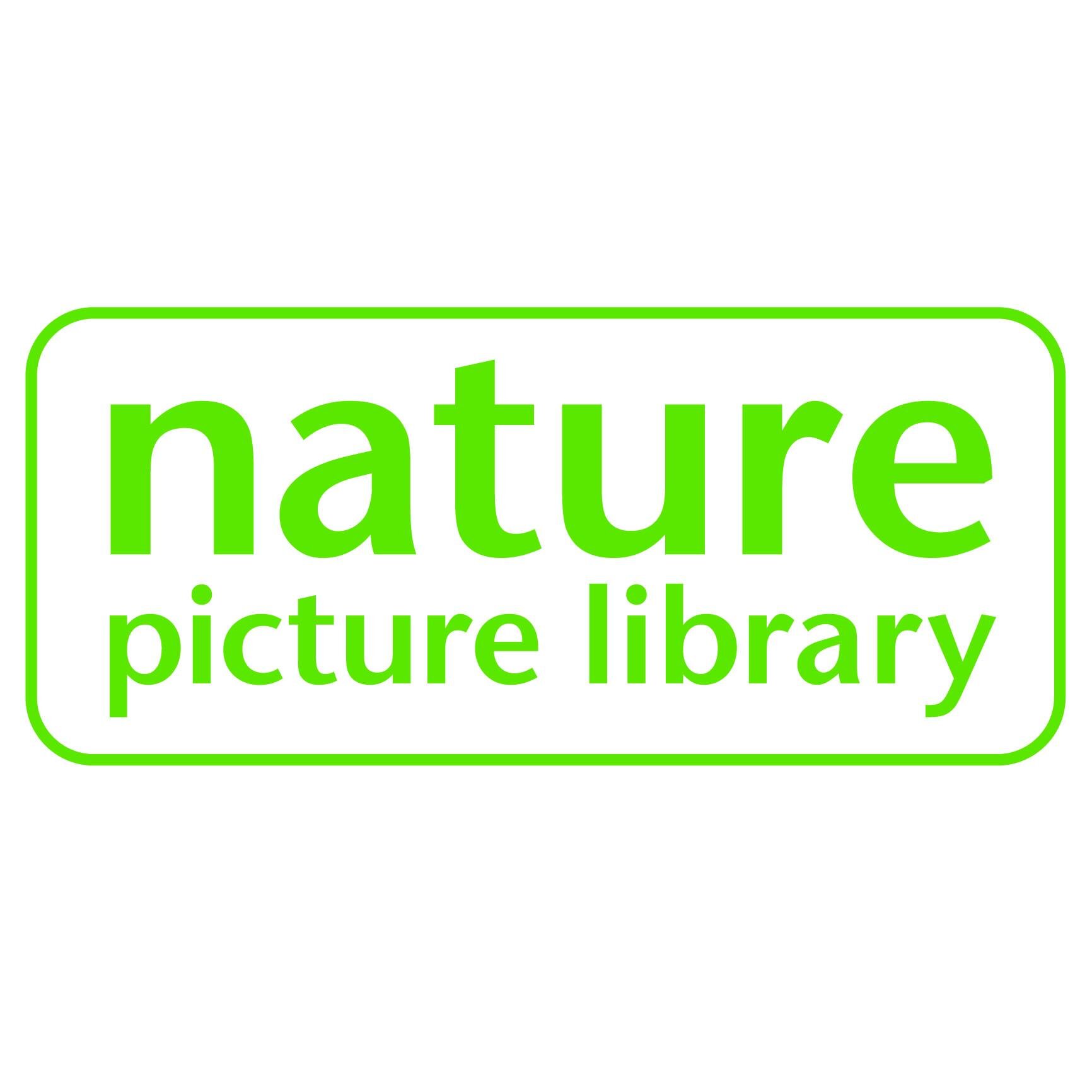 NaturePictureLibrary