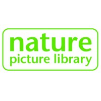 NaturePictureLibrary (@naturepl) 's Twitter Profile