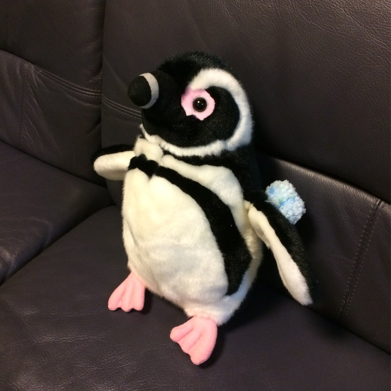 sunday_penguin Profile Picture