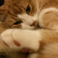 Cathy Newman (@cathyfightclub) 's Twitter Profile Photo Cathy Newman (@cathyfightclub) 's Twitter Profile Photo