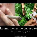 Claudio Gamez - @Lospalceros - Twitter