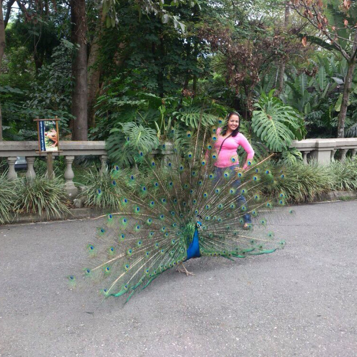 Simplemente soy yo! Venezolana 🇻🇪 Viviendo en Medellín ❤️  Adoro a los 🐕🐕 Enamorada de la vida. Si lo crees, lo creas.