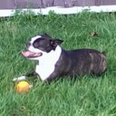 donna lavigne - @donjaah - Twitter