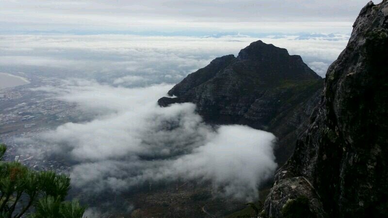 brwony177's profile picture. 