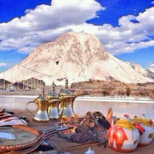 ‏سبحان الله وبحمده