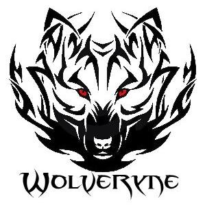 Fan de Jeux Vidéo ,Informatique ,Dessin ,Musique