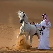 سبحان الله وبحمده -نتابــــع - ندعــــم الحسابات المتـــميزه -