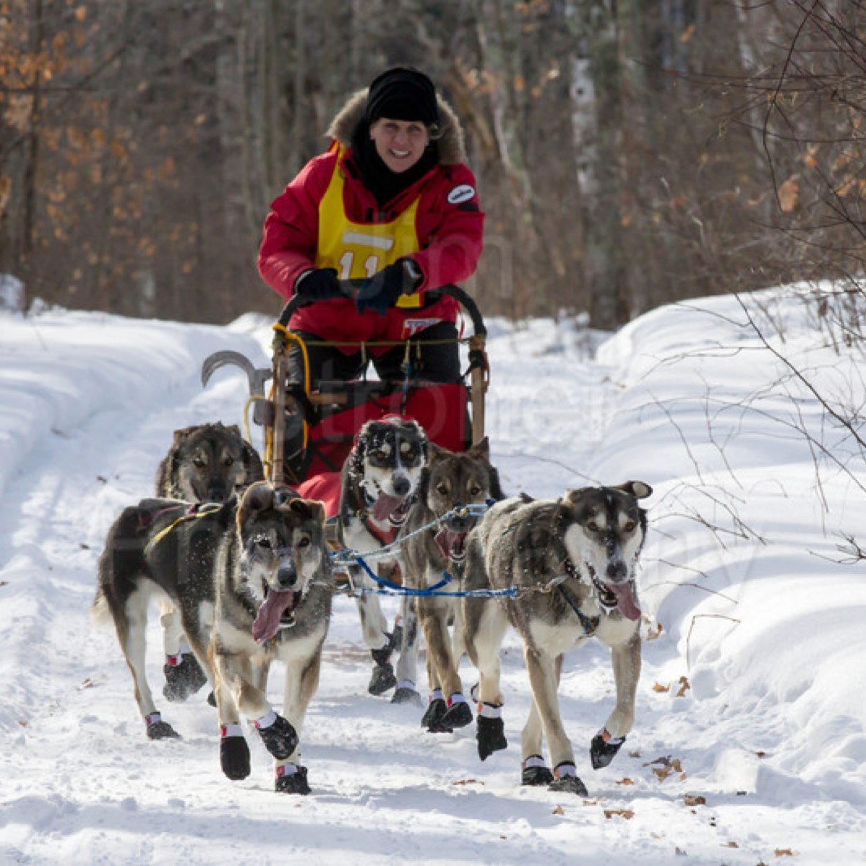 Life is tough, train for it. NordStar Racing and dogs is why we’re here! Teacher by day, Musher by whenever I can fit it in.