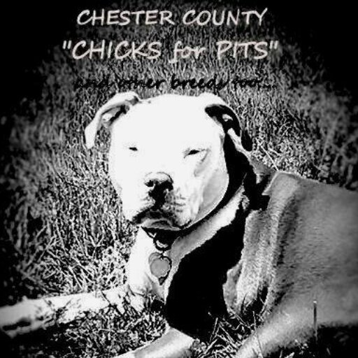 Chicksforpits's profile picture. We are a Animal rescue that primarily rescues Pit Bulls. We save them from abuse,neglect and abandonment. Get to know them before you judge them