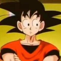 Hi there! My name is Goku! I love to eat and train! Together with my friends,we fight to protect & keep peace on Earth! #Taken by  @PrincessOfGoku