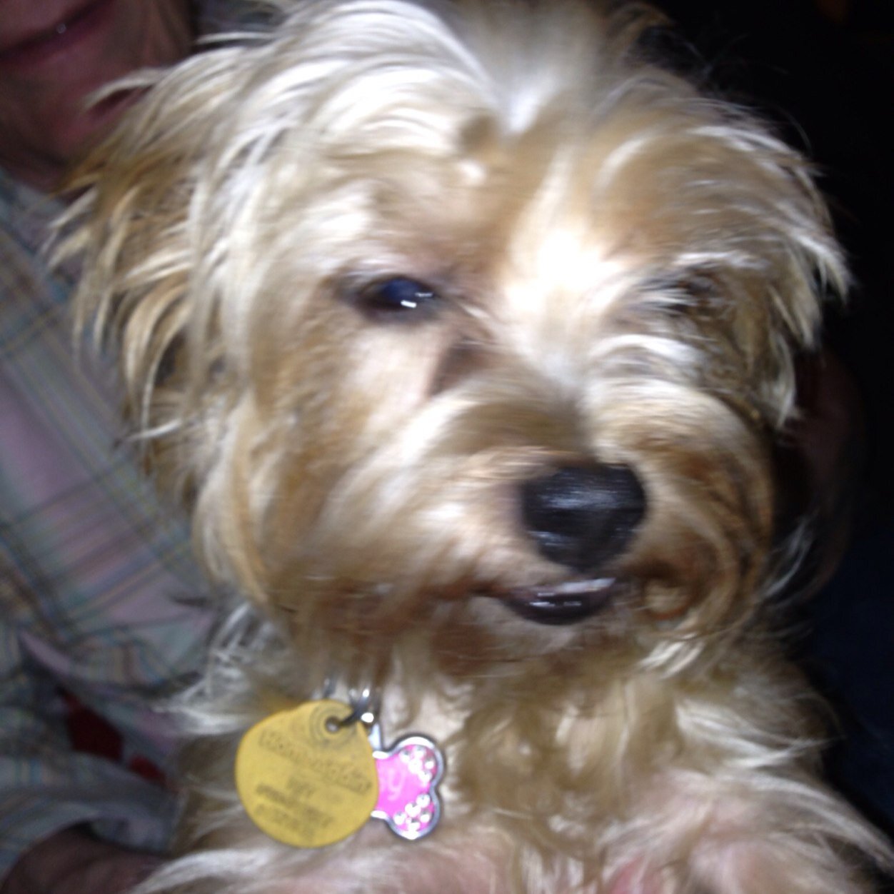 dramaqueen78664's profile picture. Retired theatre arts teacher actively involved in Unity Church of the Hills, travel, and grandchildren.