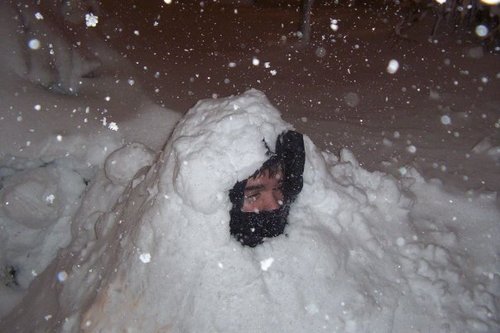 SamMothwing's profile picture. 