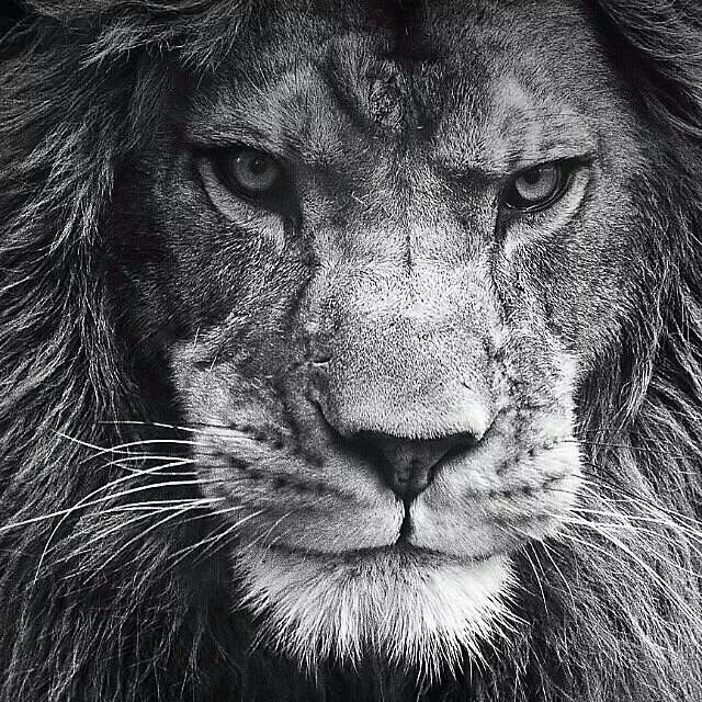 corpus7777's profile picture. 