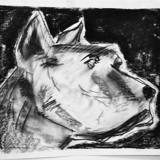 mandarin4child's profile picture. A place where you and your kids can learn Mandarin together.