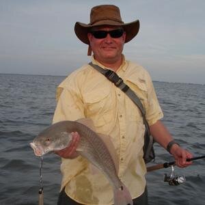 tampaits's profile picture. World-class IT support for small business and residential clients.  We handle everything from computer hardware to web services and everything in between.