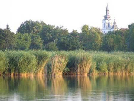 VladimirSrekov's profile picture. 