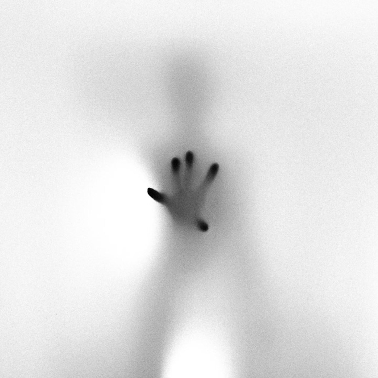 bekkir1976's profile picture. Ich kenne nichts (das so schön ist wie du)