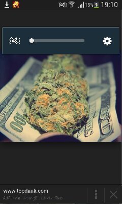 fenkkis's profile picture. 