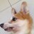wwwsamieme's profile image