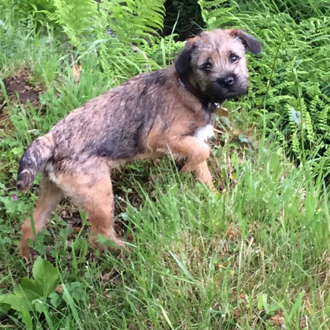 I love pheasant, I love rabbit and I love sleep.