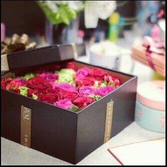 ‏‏ربنا لا تزغ قلوبنا بعد إذ هديتنا وهب لنا من لدنك رحمة إنك أنت الوهاب ♡