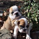 sarah hook - @sarahsmith1962 - Twitter