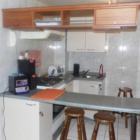 ARRIENDO DEPARTAMENTO EN SANTIAGO POR DIAS O SEMANAS