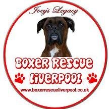 Boxer Rescue Liverpool are a rescue organisation dedicated to helping boxers in need. We help homeless boxers find their loving forever homes.